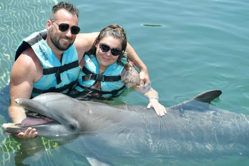 Dive into Wonder: Unforgettable Dolphin Encounters with Dolphin Discovery