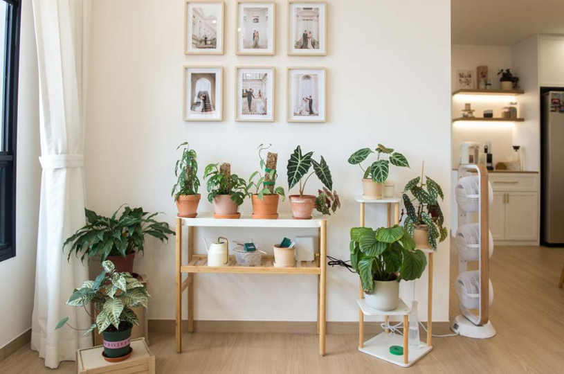 Inside the World of UJNG: A Haven for Minimalist Lovers